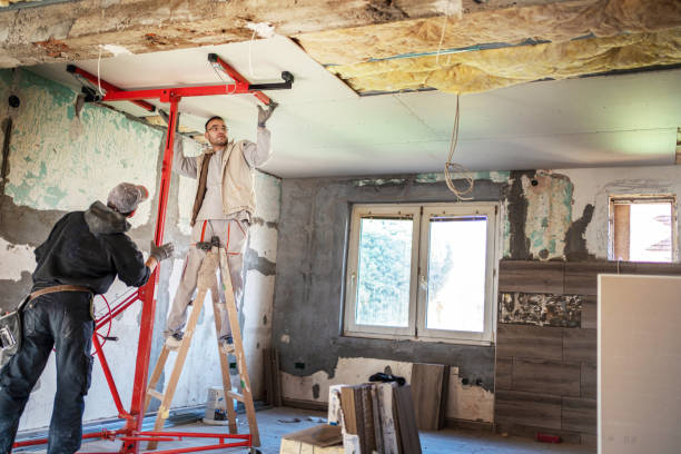 Best Home Insulation Services  in USA